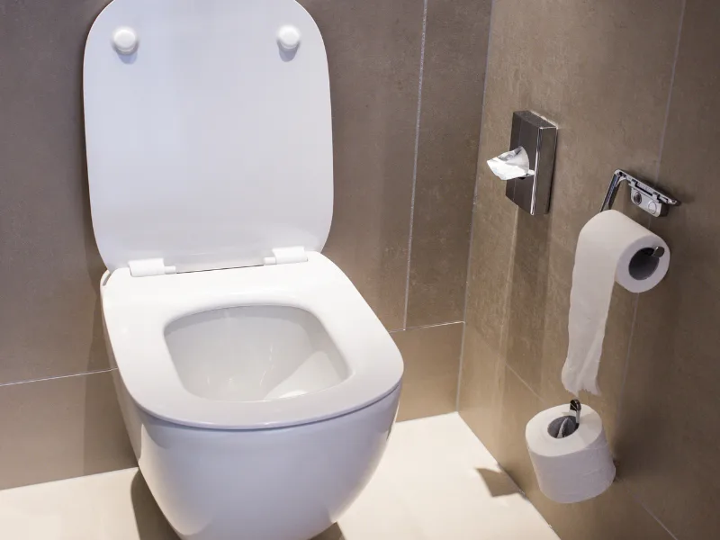 Image of customer supplied toilet.