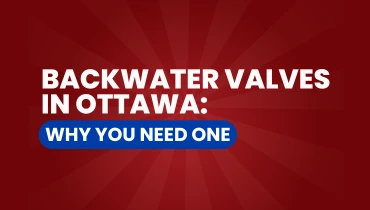 Backwater valves graphic.