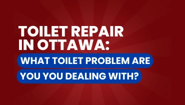 Toilet Repair graphic.