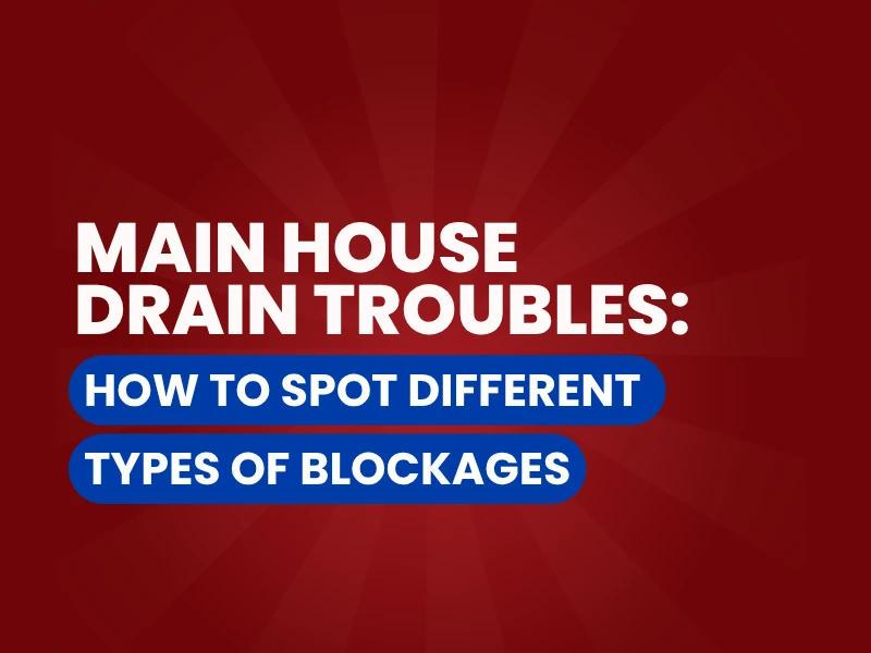 Main House Drain Troubles graphic.