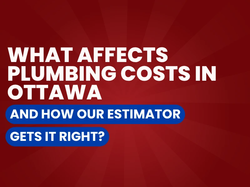 Plumbing costs graphic.