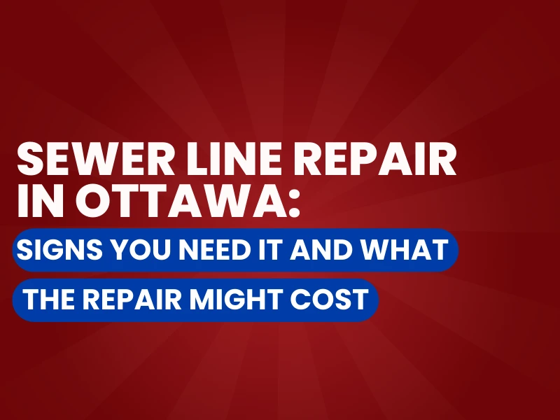 Sewer Line Repair graphic.