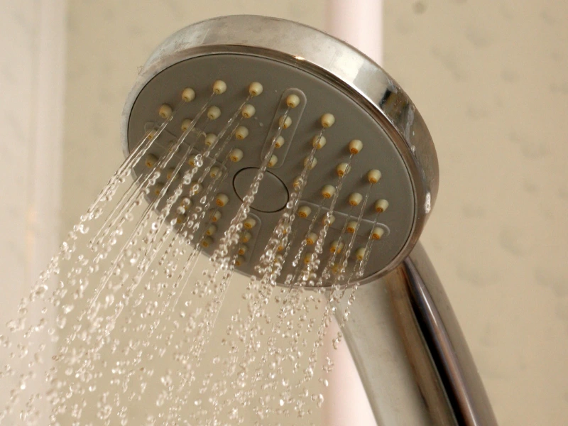 brushed nickel shower head.
