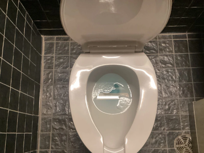 view of toilet from above.