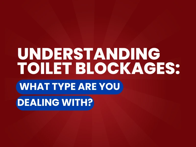 Understanding Toilet Blockages graphic.